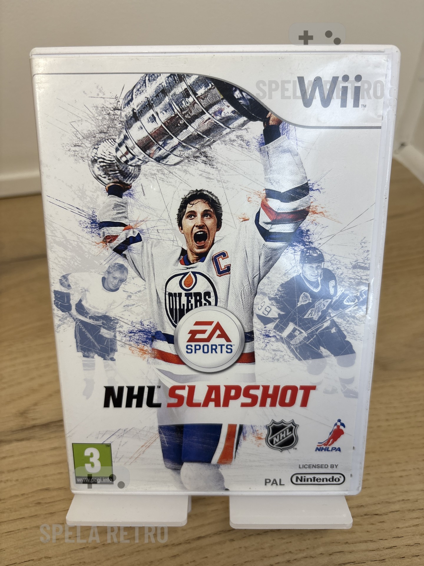 NHL SPAPSHOT