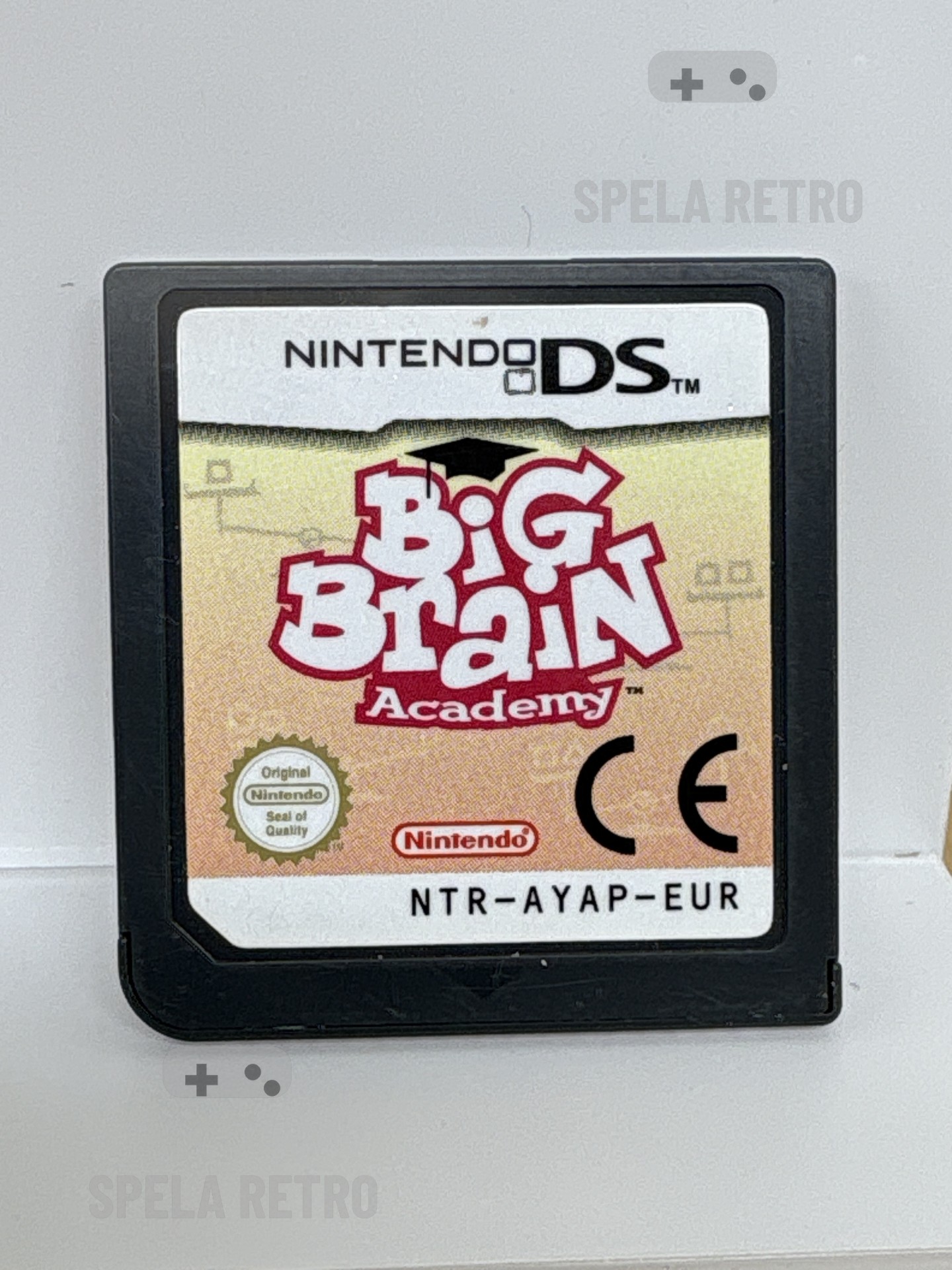 Big Brain Academy